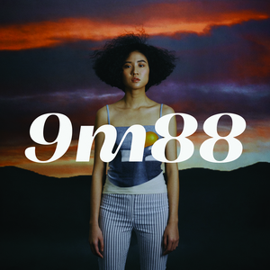 连云港电容器厂家用小蛙营销导航
