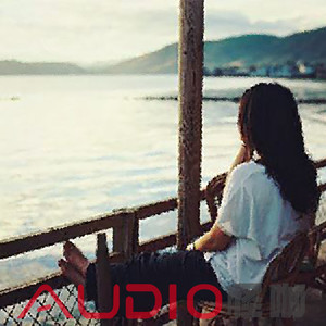 连云港电容器厂家用小蛙营销导航
